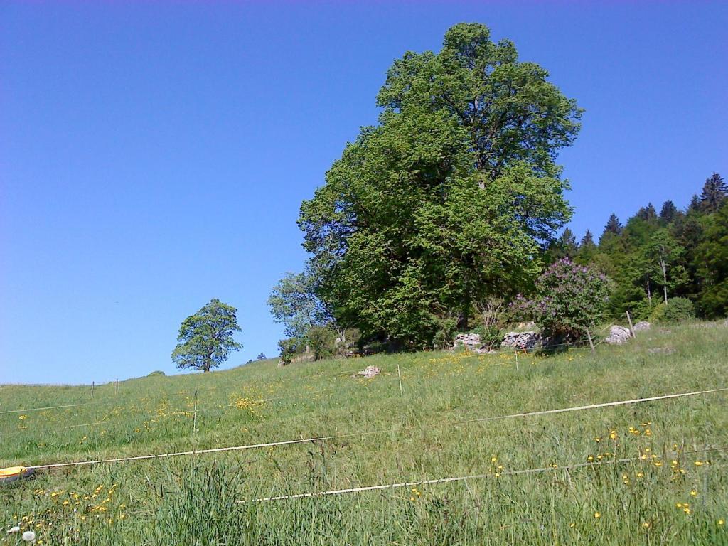 D'hôtes Petit Martel